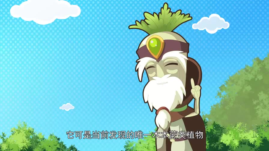 植物科普第2集科普桫椤树