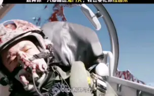 Descargar video: 究竟是哪些无知小儿在质疑【电影长空之王】《遭遇鸟击》的真实性？专业科普打脸视频来了