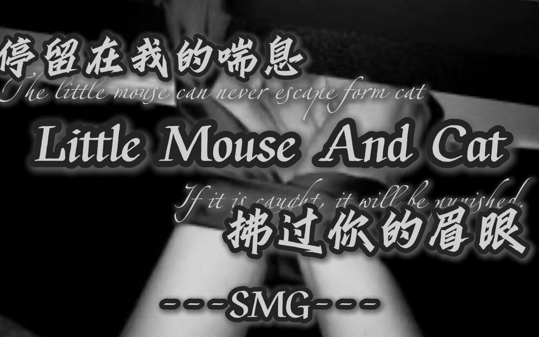 【双语全熟|SMG】小老鼠 被猫逮到了还想跑?|女性向英语音声|bondage哔哩哔哩bilibili