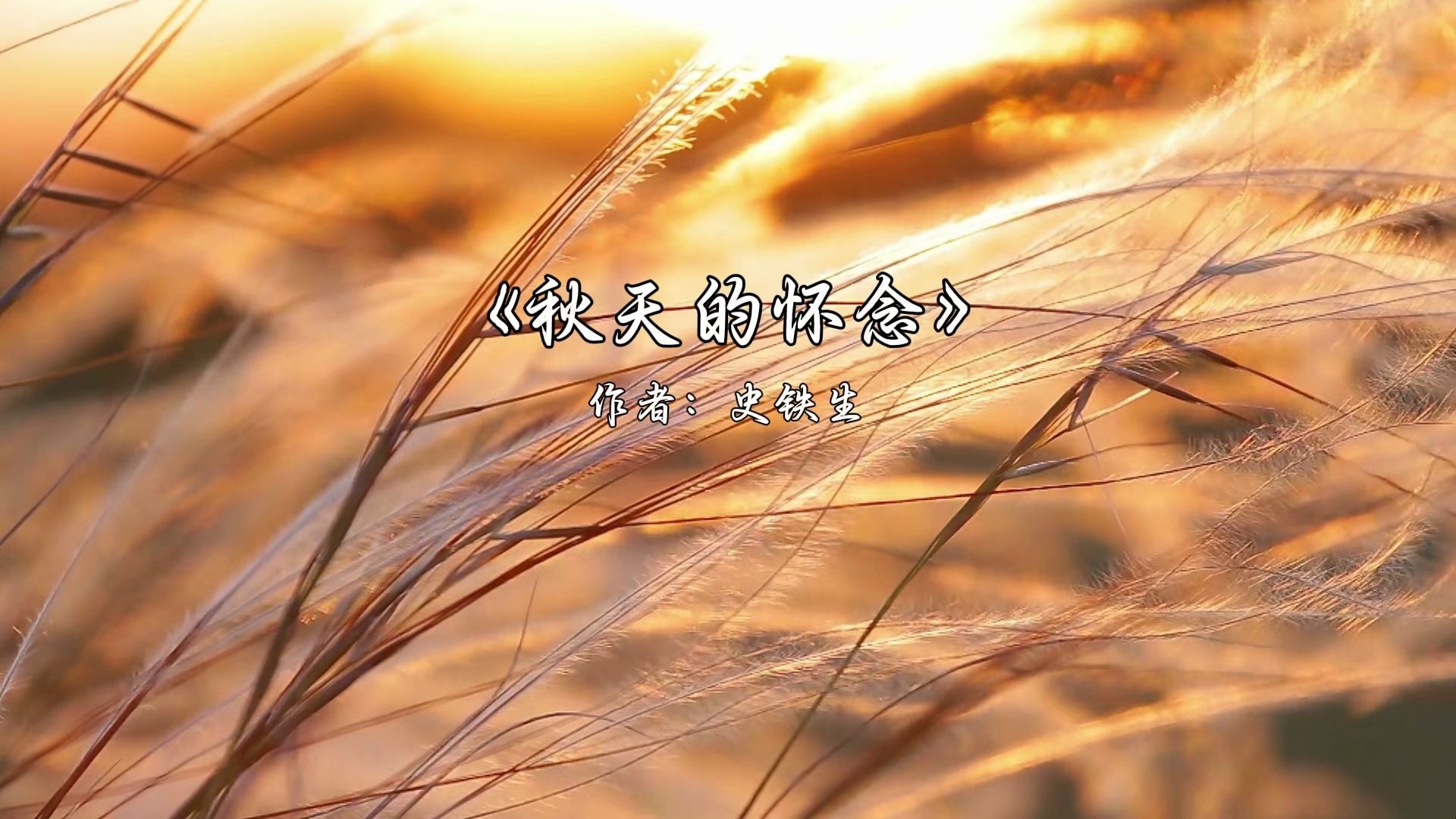 《秋天的怀念》背景视频+音乐