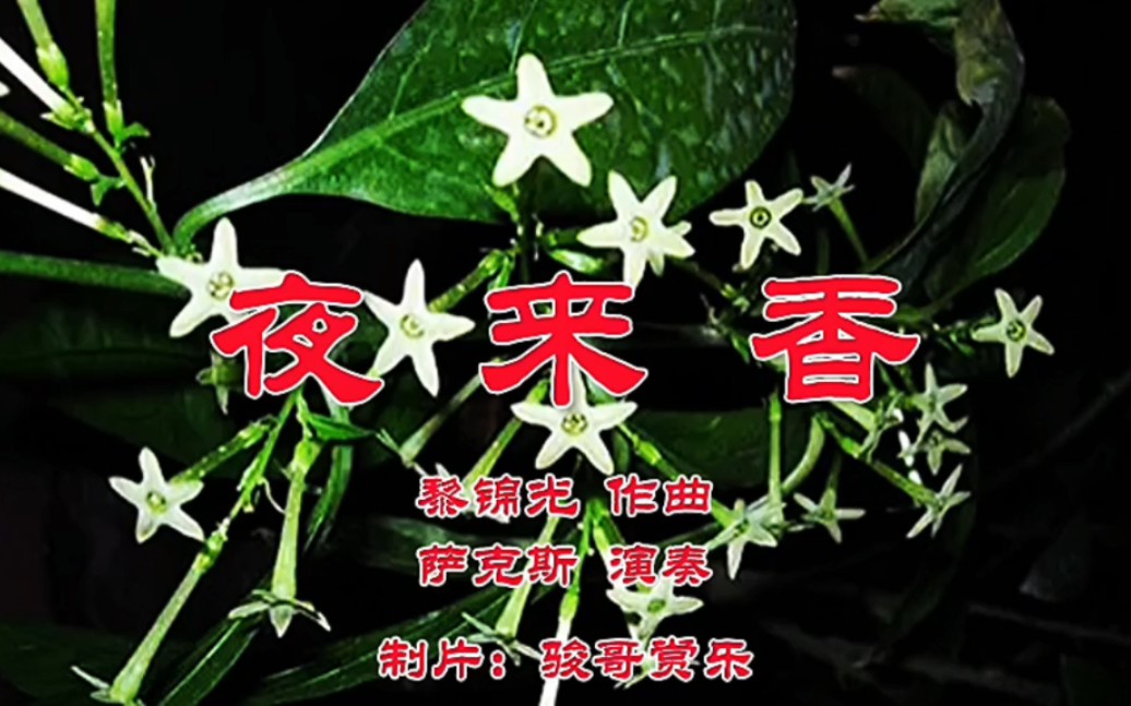 萨克斯演奏的经典歌曲:《夜来香》,我为你歌唱!