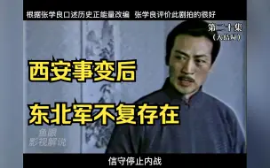 Download Video: 泪别东北军（第20集）大结局