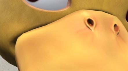 活动作品鸭嘴创人水视频