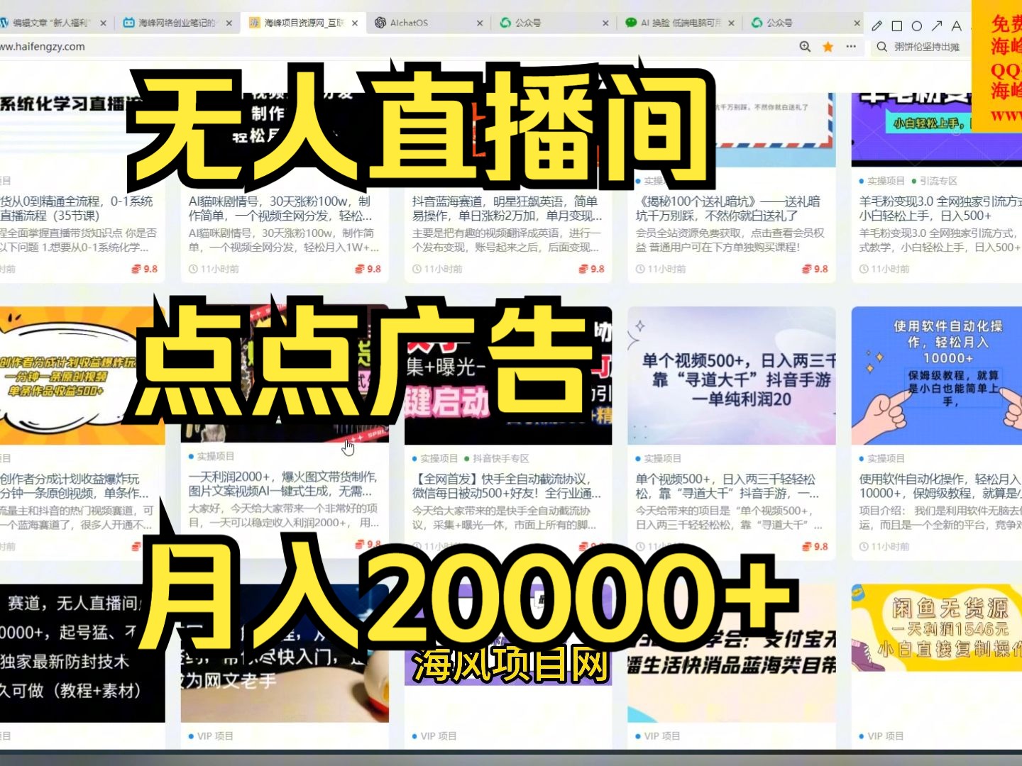 【冷门】赛道,无人直播间点广告,月入20000+,起号猛、不死号,独家最新防封技术,长久可做(教程+素材)哔哩哔哩bilibili