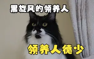 Video herunterladen: 猫德学院回访记-黑旋风的领养人，特别的爱给特别的你