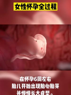 姐妹们,3D动画给你演示一下你怀孕的过程哔哩哔哩bilibili