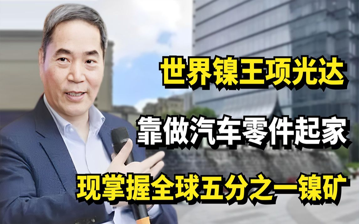 世界掌镍王项光达,靠做汽车零件起家,现掌握全球五分之一镍矿哔哩哔哩bilibili