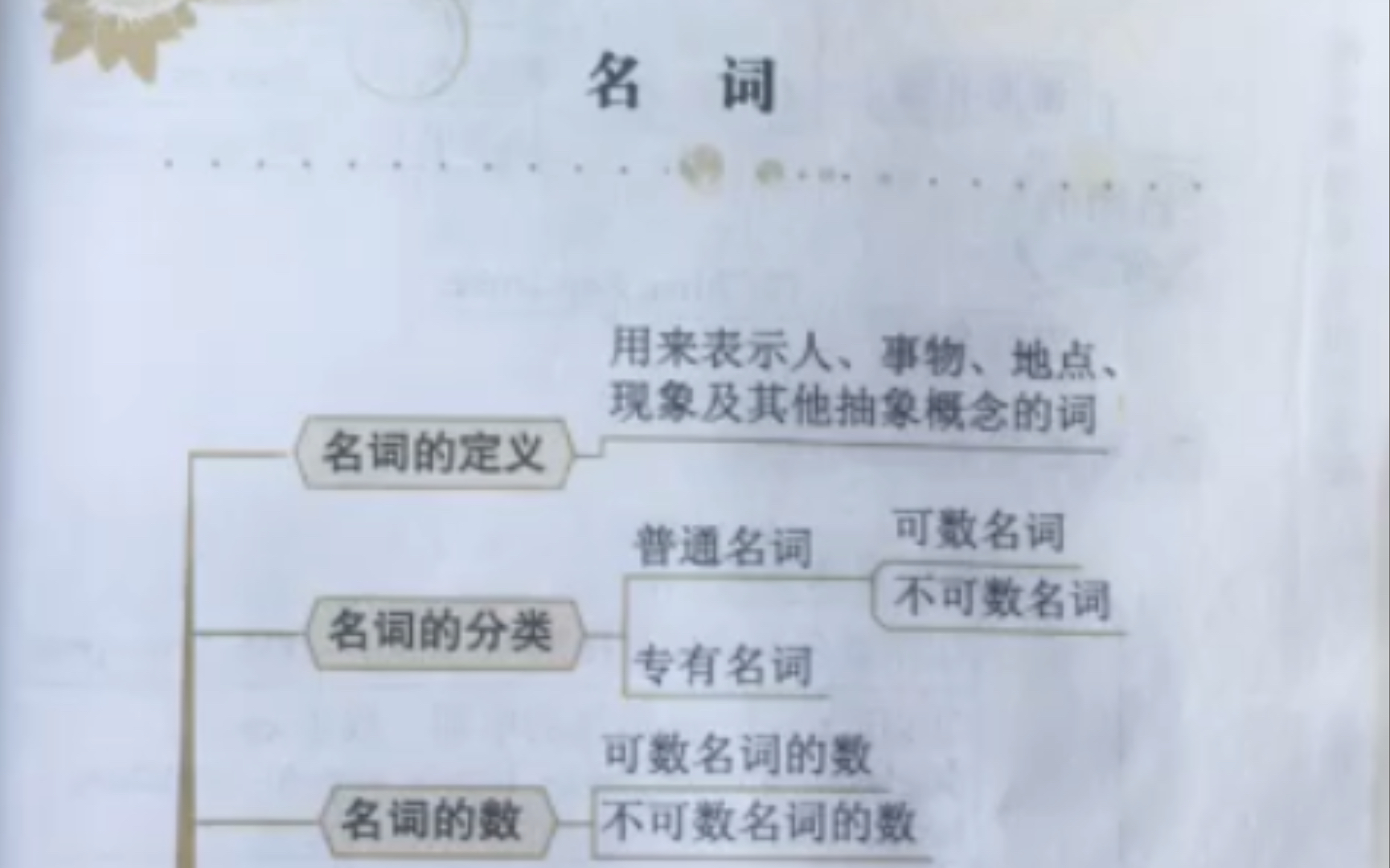 【英语名词怎么用?】培训机构英语老师的学习资料分享哔哩哔哩bilibili