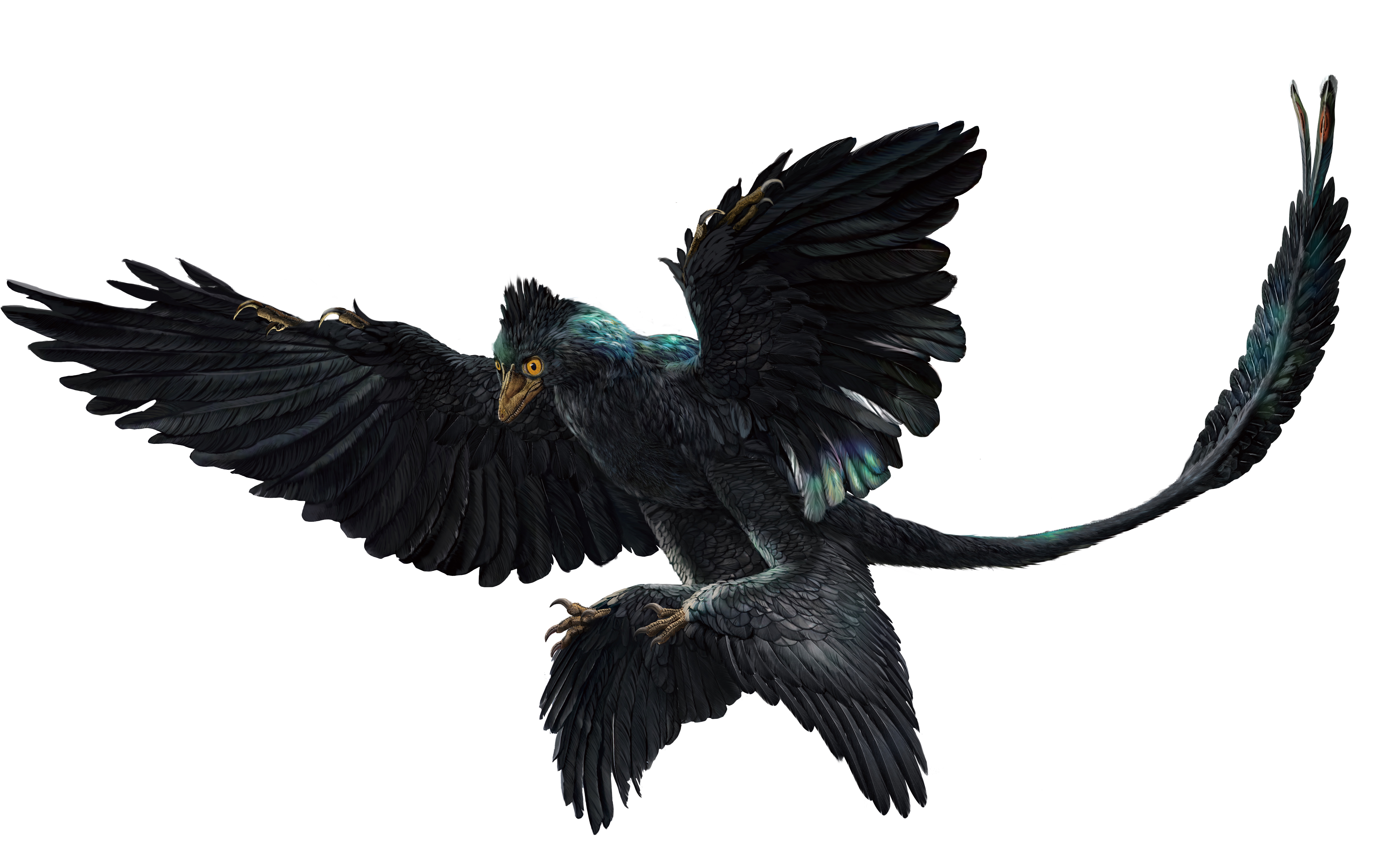 活动作品pnso恐龙博物馆赵闯讲恐龙小盗龙高远11雕像