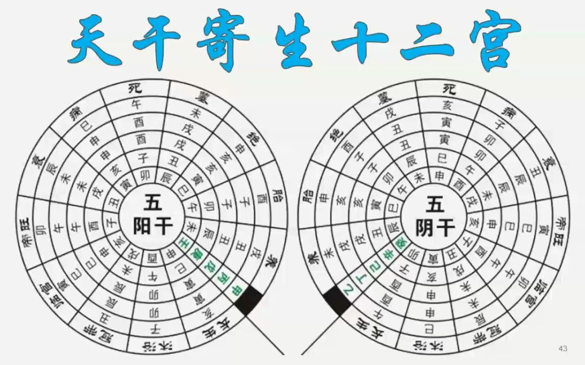 八字基础知识——天干寄生十二宫哔哩哔哩bilibili