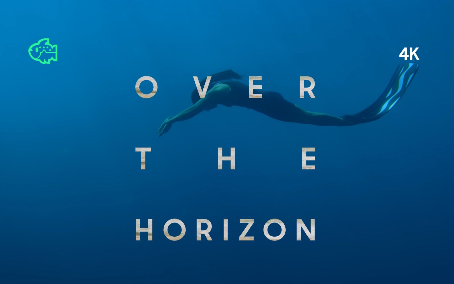 [图]【旧】聆听海洋的呼唤：Over The Horizon 2019