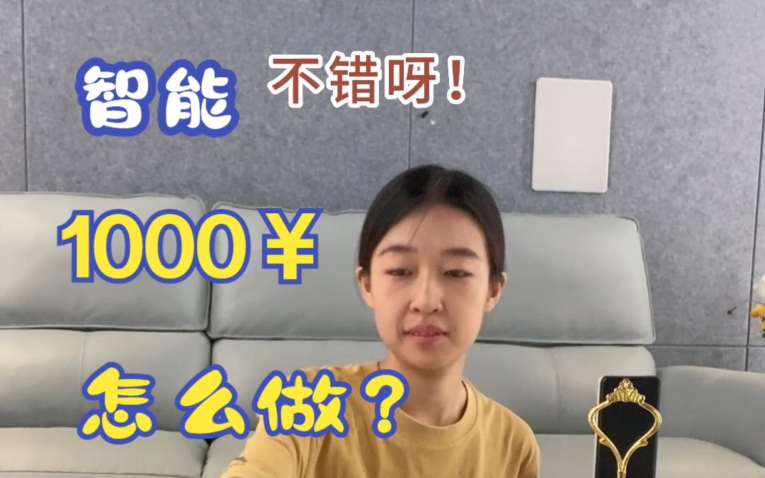 在沧州,1000的预算怎么做智能?哔哩哔哩bilibili