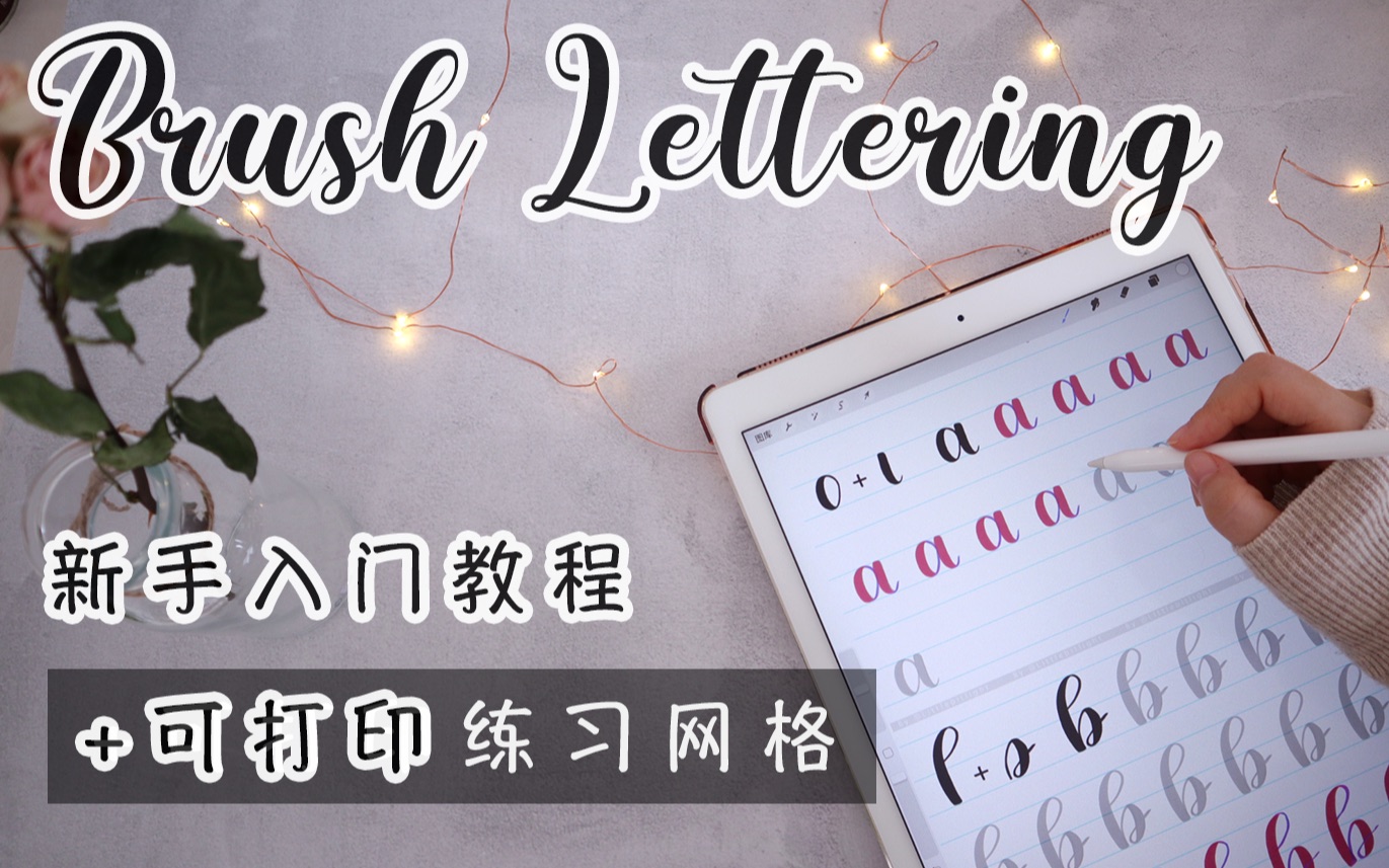 Brush基础线条+免费网格练习纸|萌新保姆级教程|Brush新手入坑|手帐英文花体字素材Brushletter素材哔哩哔哩bilibili