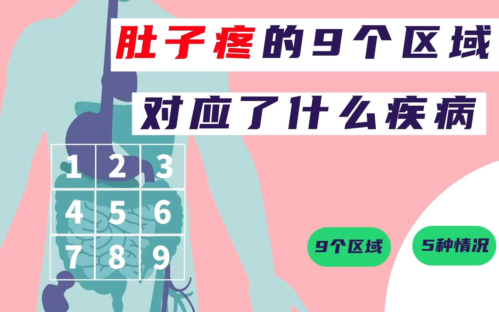 一张腹痛地图,肚子分成9个区域,不同位置疼代表了什么?哔哩哔哩bilibili