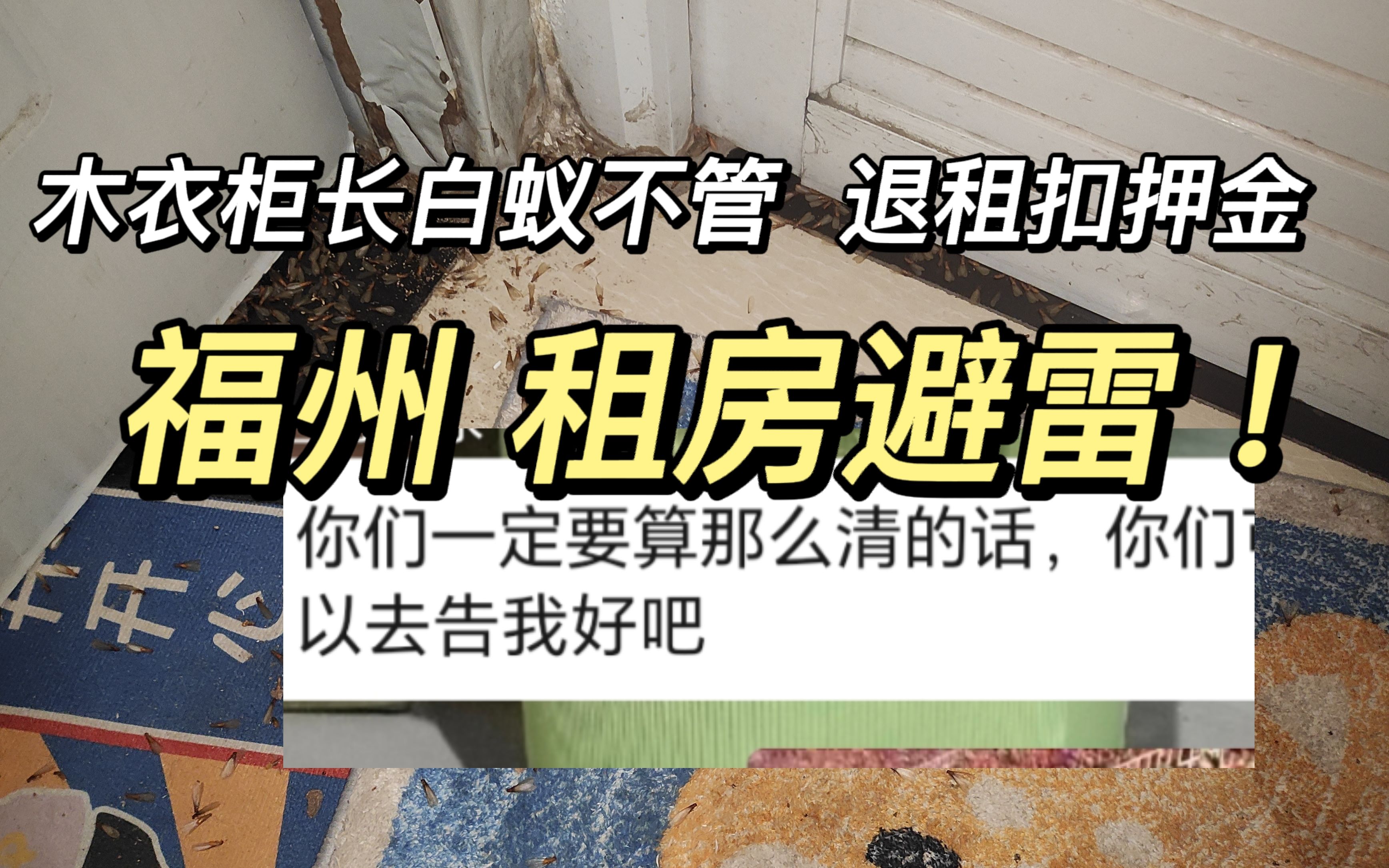 租房避雷 | 家具长白蚁不处理,合同到期退租扣押金!多次拒绝沟通后报警与福州仓山狗房东调解纠纷哔哩哔哩bilibili