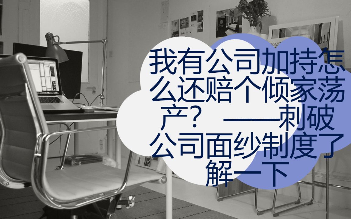 我有公司加持怎么还赔得倾家荡产?——刺破公司面纱制度了解一下哔哩哔哩bilibili