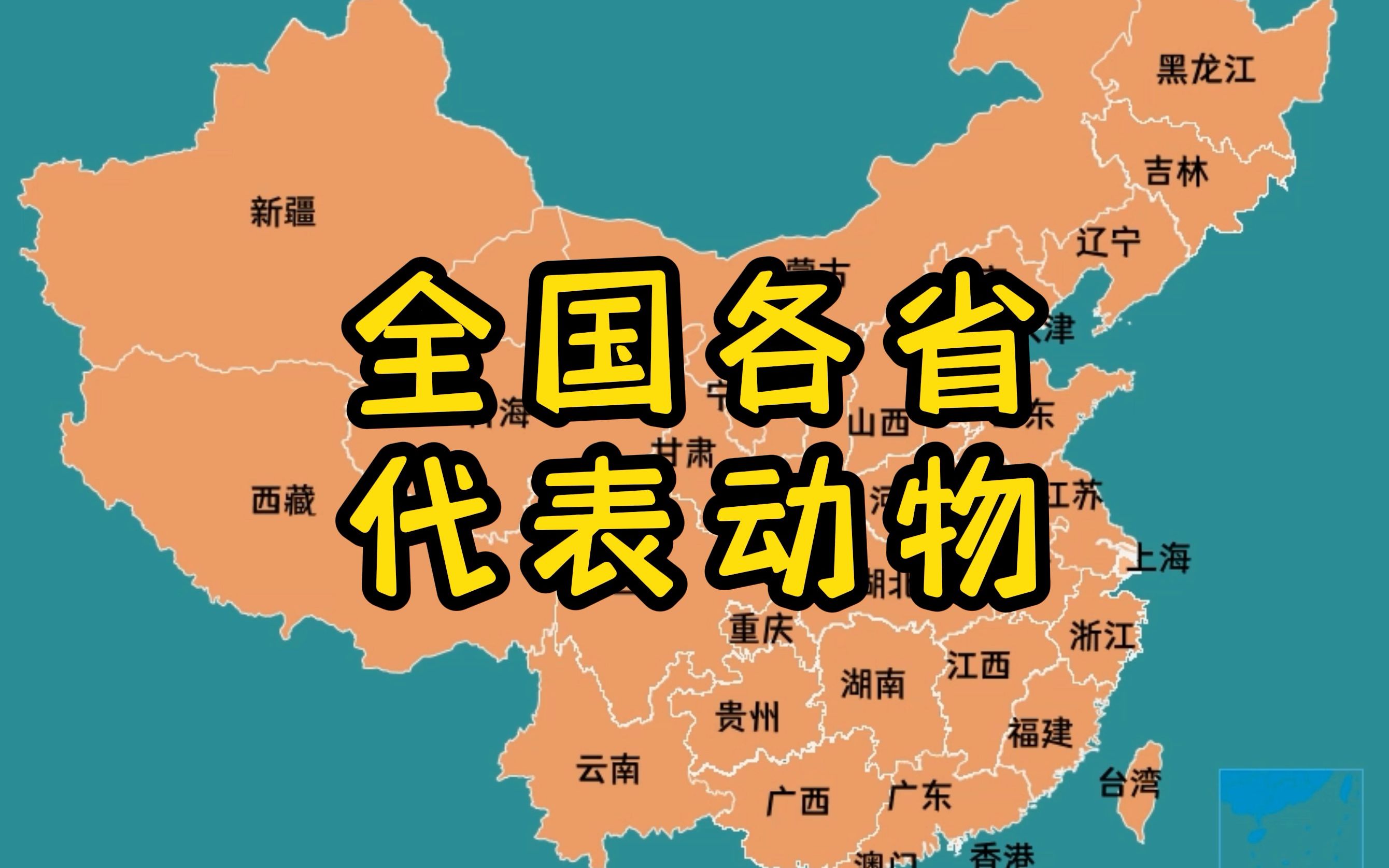 全国各省代表动物哔哩哔哩bilibili