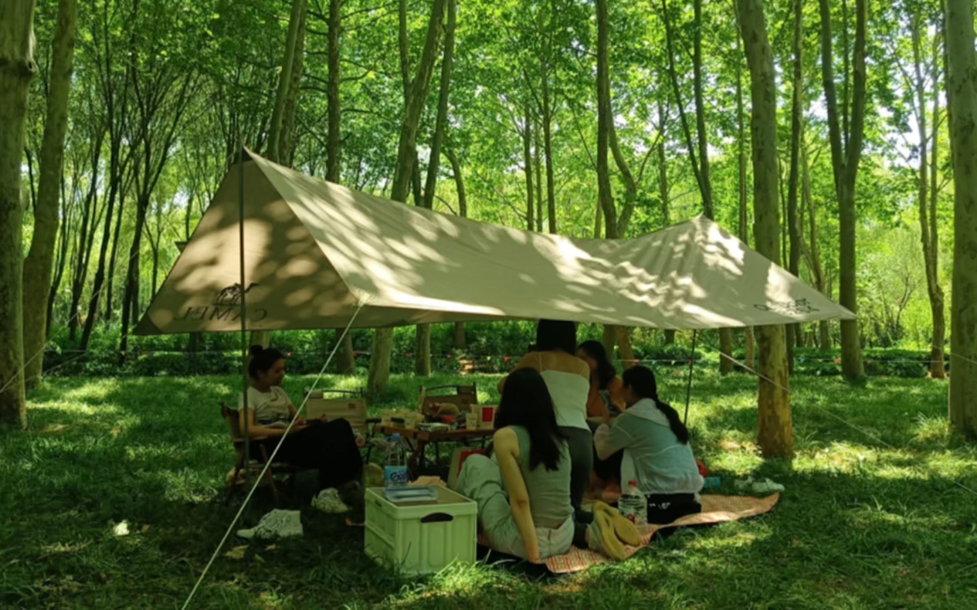活动  路边野餐 森林露营|六个女孩的夏天