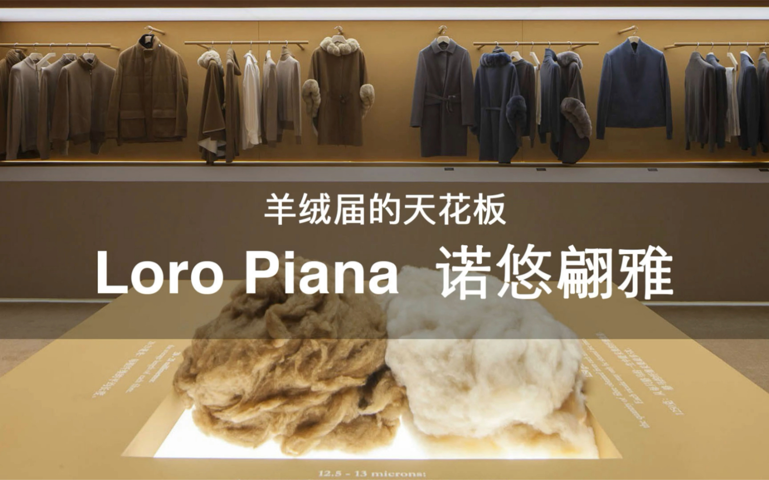 108个大牌科普 | 第38期 羊绒界的天花板 Loro Piana 诺悠翩雅哔哩哔哩bilibili