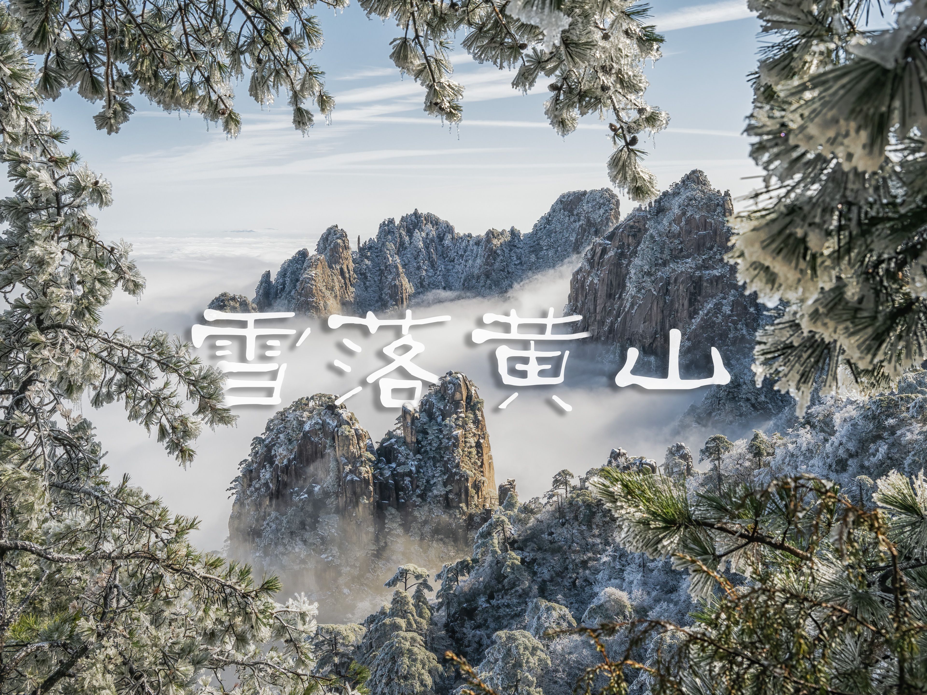 雪落黄山 | 当霜染一半山头, 风也不再轻柔|8K超清哔哩哔哩bilibili