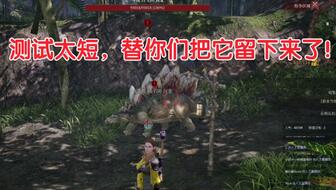 神佑释放，有喜欢的吗，抓起来当坐骑吧！