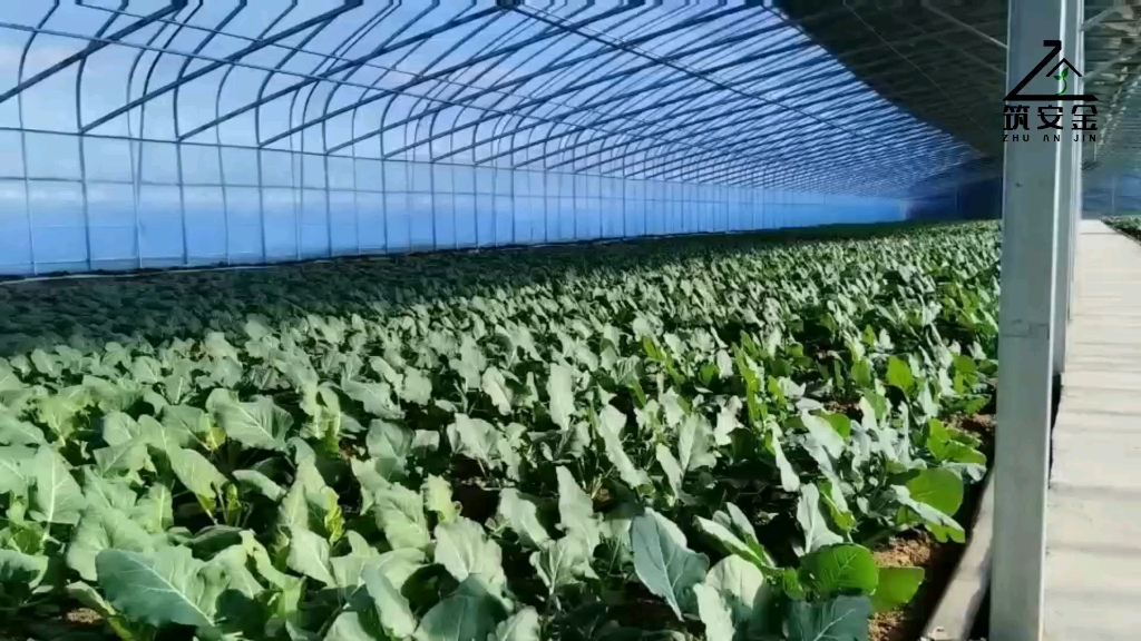 高温拱棚,冬暖温室大棚,保温温室大棚,温室大棚种植,温室大棚价格