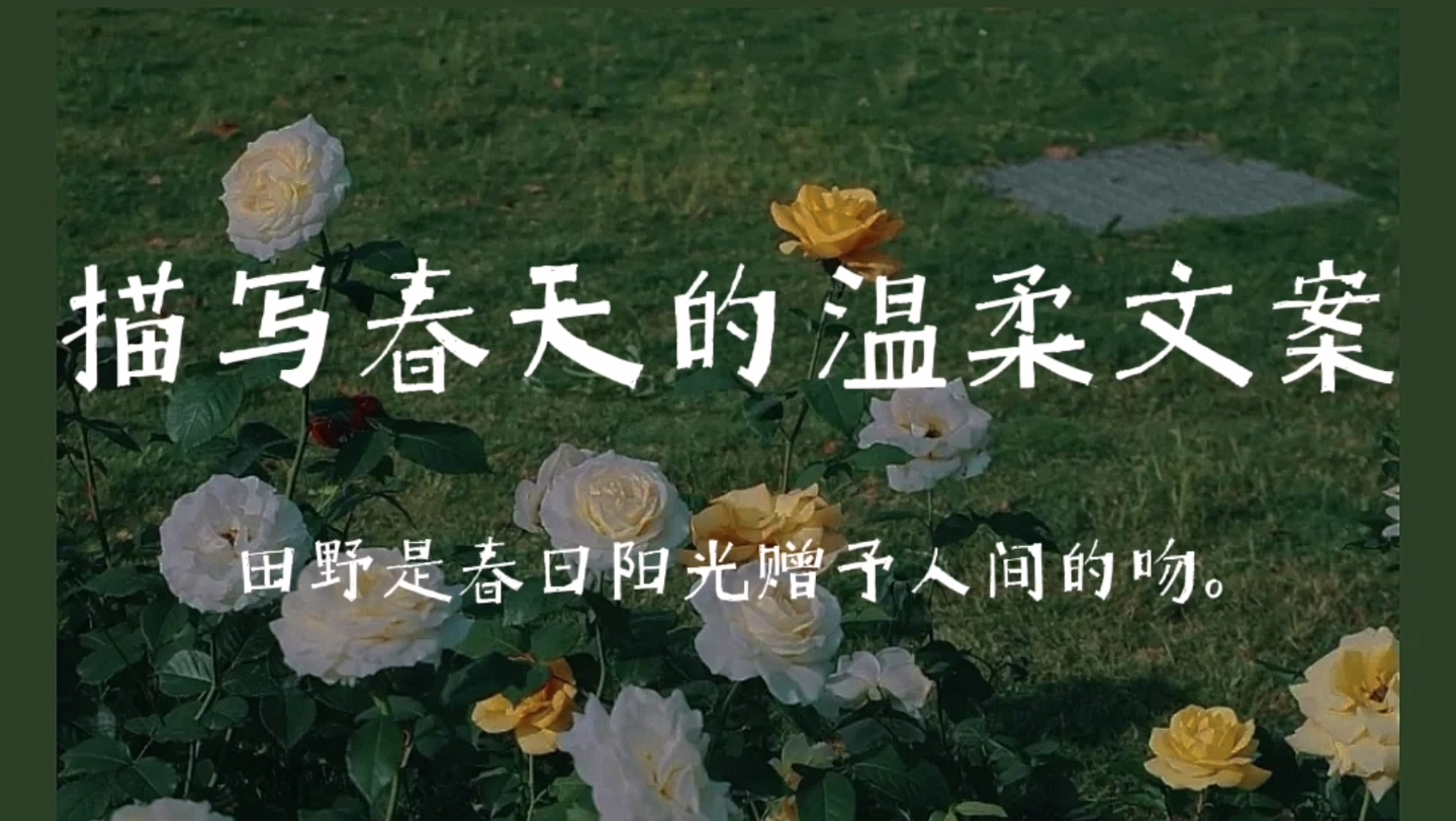 “田野是春日阳光赠予人间的吻.” | 关于春天的温柔文案 |窥见春日浪漫哔哩哔哩bilibili