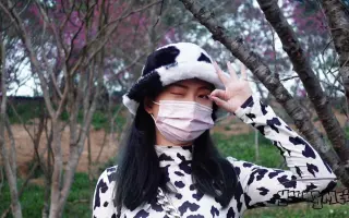 樱花步道 搜索结果 哔哩哔哩弹幕视频网 つロ乾杯 Bilibili