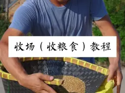 Video herunterladen: 收粮食教程