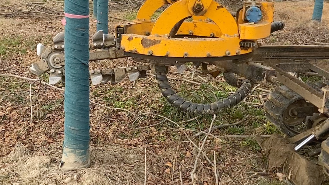 三普挖树机挖树全过程_哔哩哔哩_bilibili