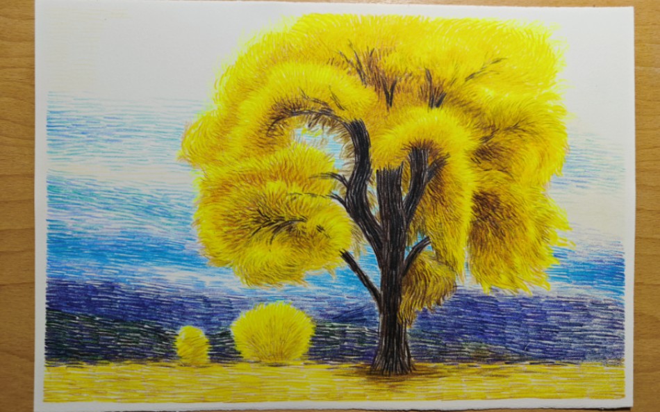 z叔彩铅|绒松的树