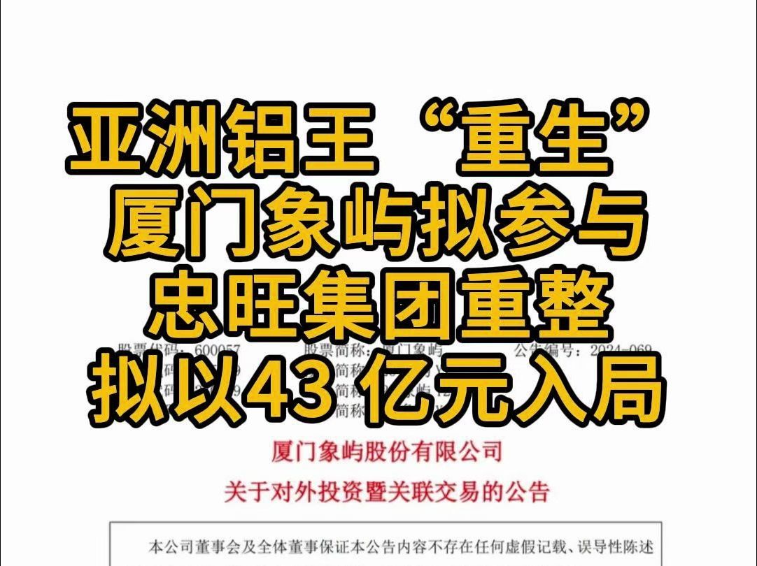 亚洲铝王“重生”!厦门象屿拟参与忠旺集团重整,43 亿元入局!哔哩哔哩bilibili