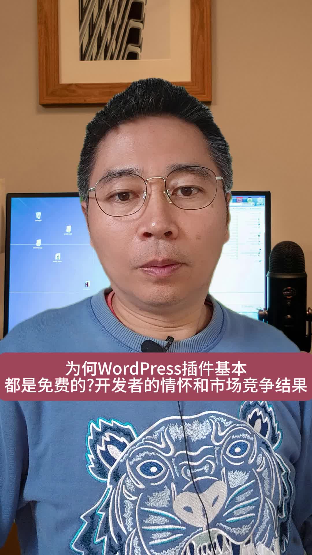 为何WordPress插件基本都是免费的?开发者的情怀和市场竞争结果.哔哩哔哩bilibili