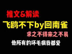 Download Video: 【推文/解读】飞鸥不下by回南雀，他是我的求之不得，来之不易，他所有的坏毛病，我都爱