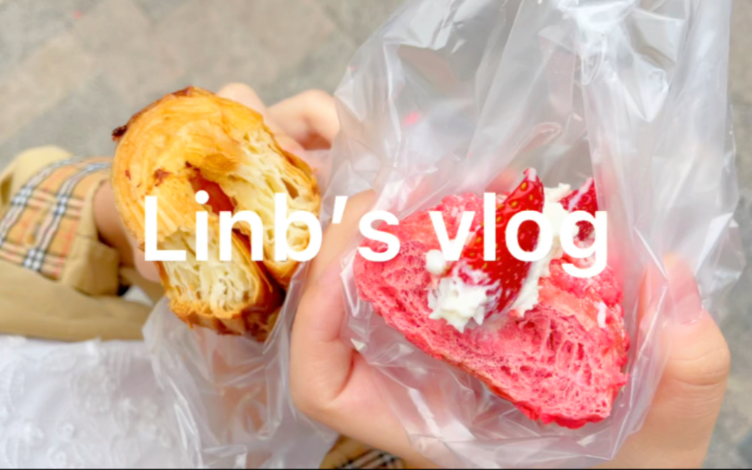 Linb's Vlog #5/二人世界/全家福哔哩哔哩bilibili