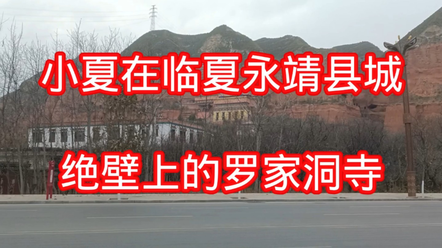 永靖县城绝壁上的罗家洞寺
