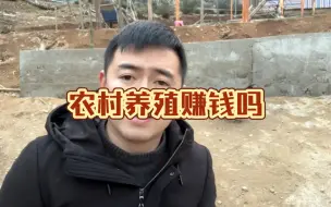 Download Video: 农村养殖赚钱吗？为什么那么多养殖人说亏本的