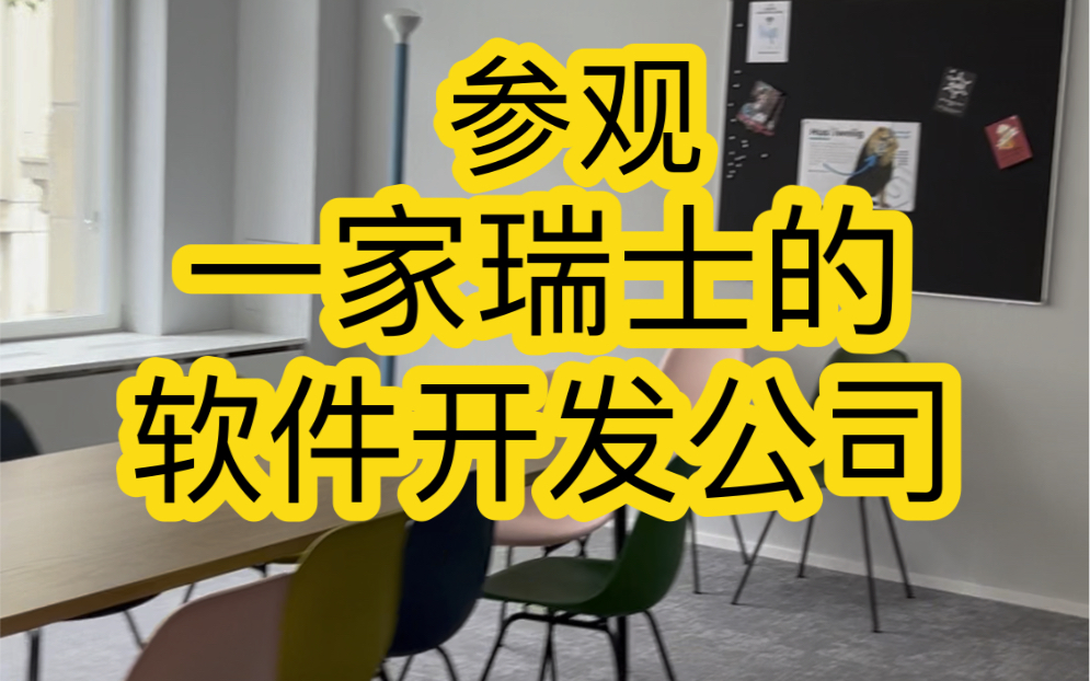 参观一家瑞士的软件开发公司,检测一下你的德语听力水平吧.哔哩哔哩bilibili