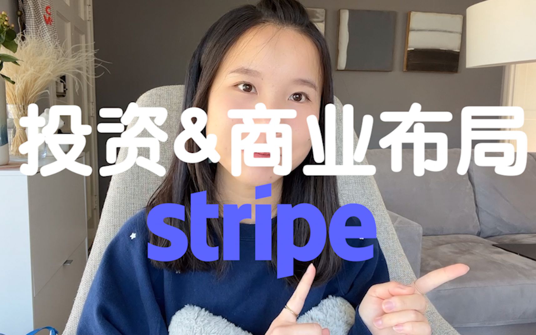 从Stripe的投资看2022年的Fintech startups现状 | 视频刚剪好就有一家倒闭..哔哩哔哩bilibili