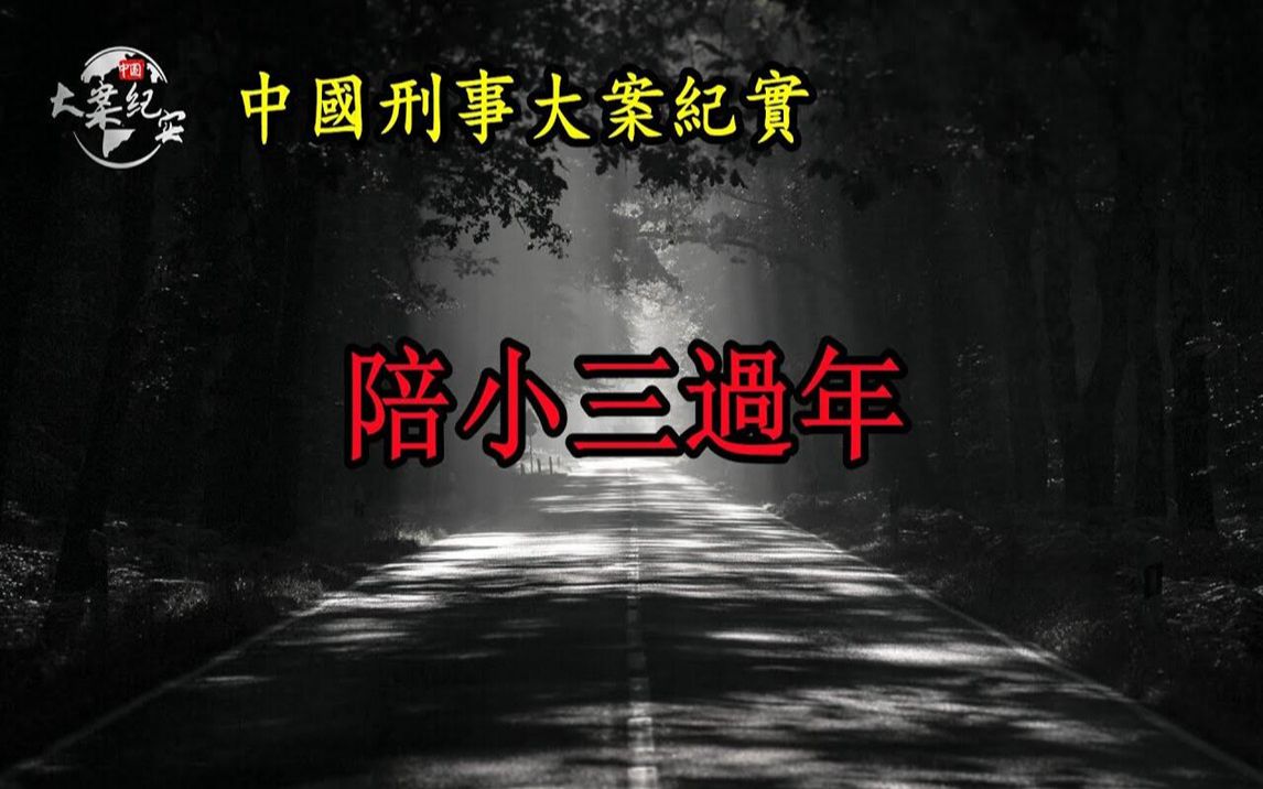 陪小三过年《中国刑事大案纪实》拍案说法法治故事真实案件哔哩哔哩bilibili