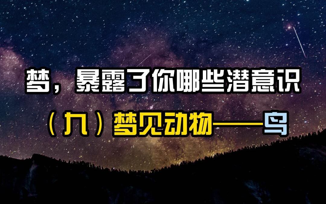 听心聊心理咨询师 | 梦,暴露了你哪些潜意识(九)梦见动物——鸟哔哩哔哩bilibili