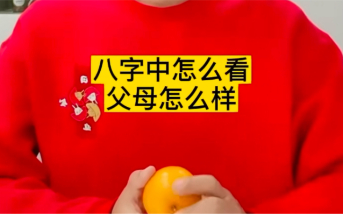 八字中怎么看父母情况?哔哩哔哩bilibili