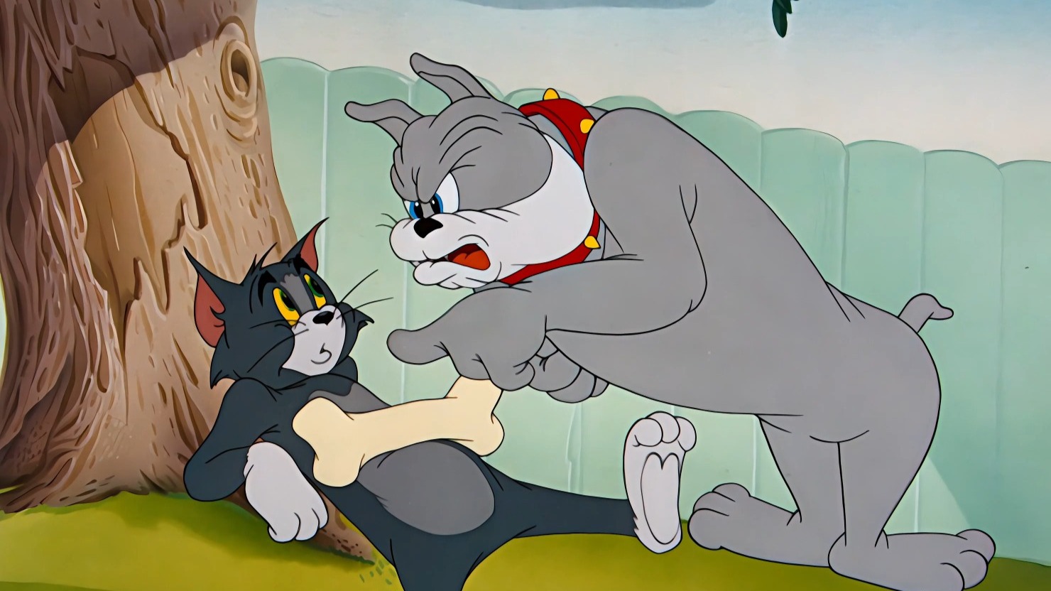 猫和老鼠：黄金时代｜[053]被诬陷的猫（1950）