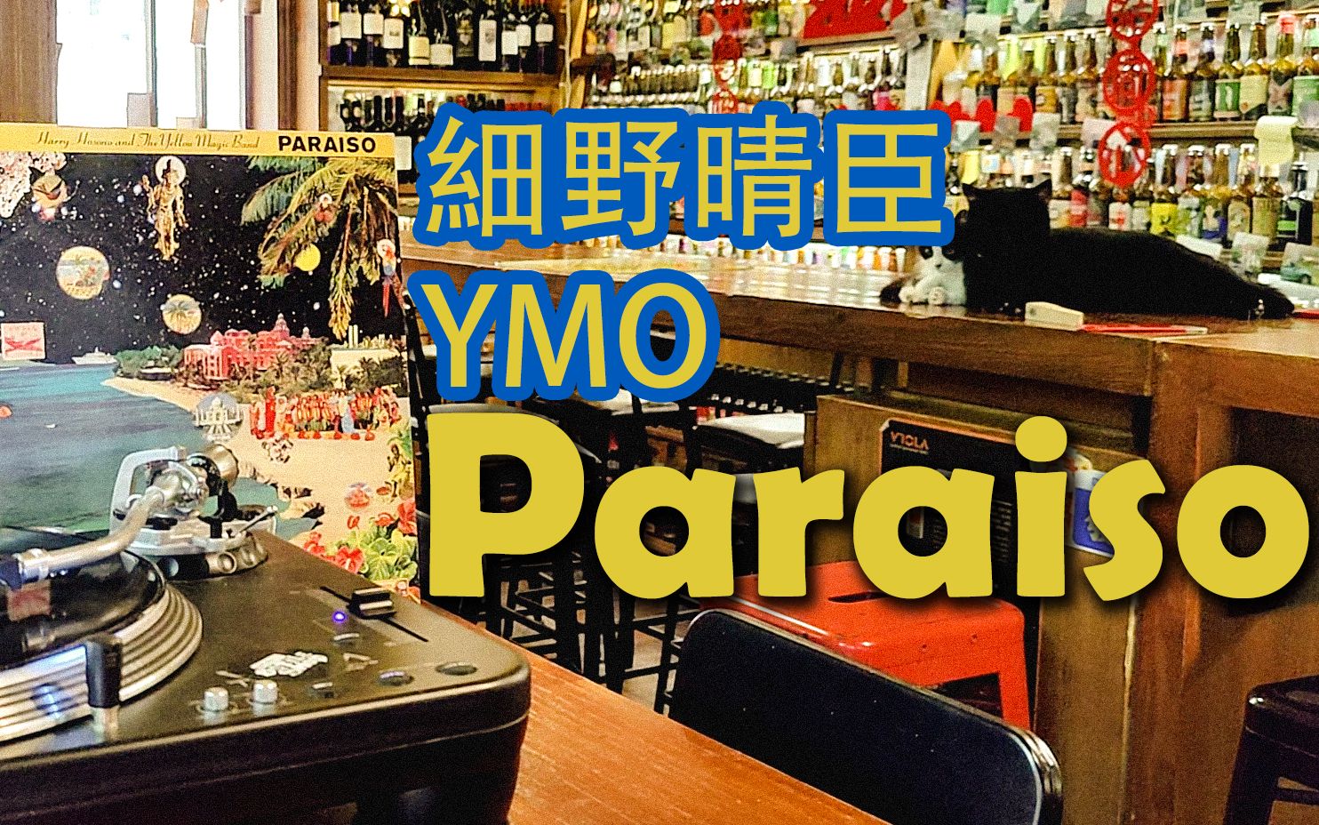 细野晴臣Paraiso 黑胶试听 #15【试听印象】哔哩哔哩bilibili