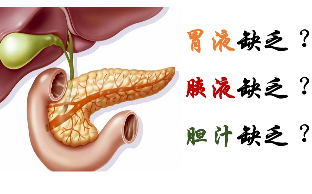 西综干货:三种消化液缺乏对三大营养物质消化造成的影响哔哩哔哩bilibili