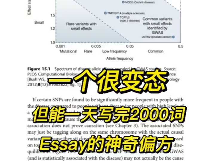 这个写essay神器也太会了吧!留学生赶due极限操作哔哩哔哩bilibili