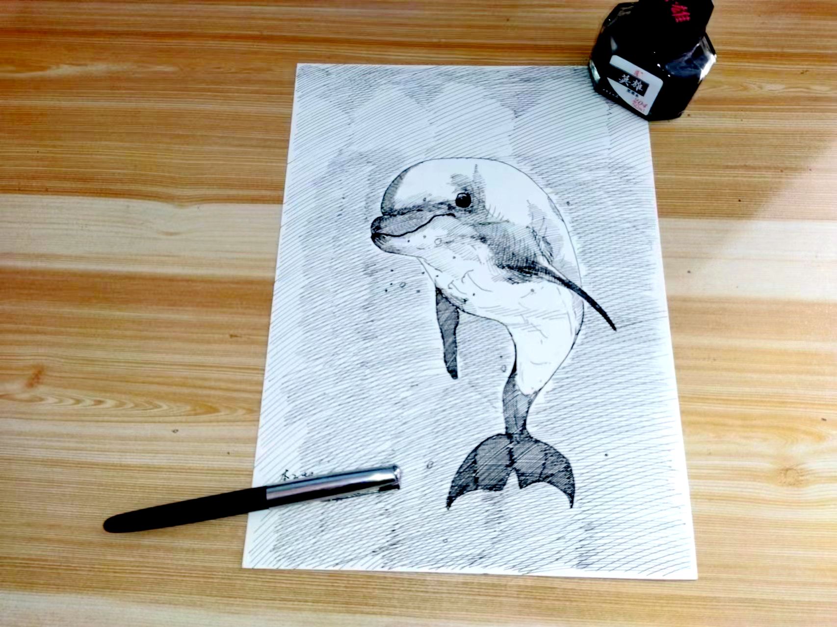 【钢笔速写】我是一只小海豚-英雄616