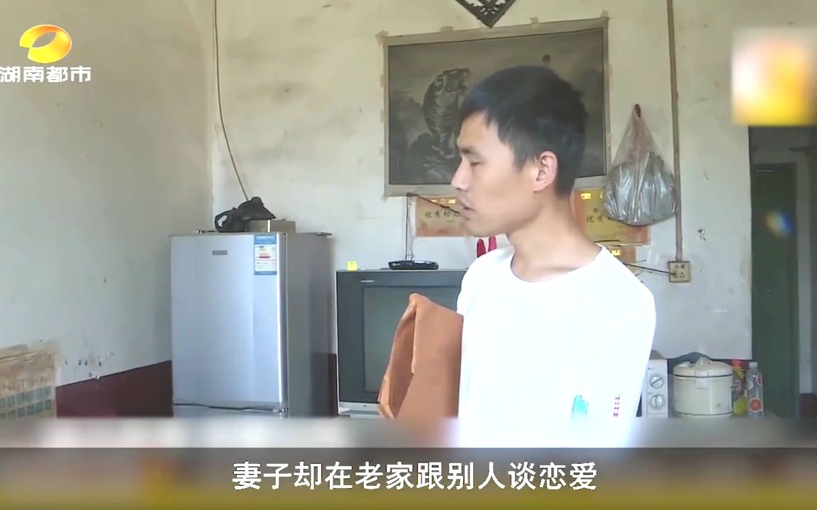 湖南台寻情记最近一期图片