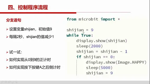 ch3.3 分支与随机函数