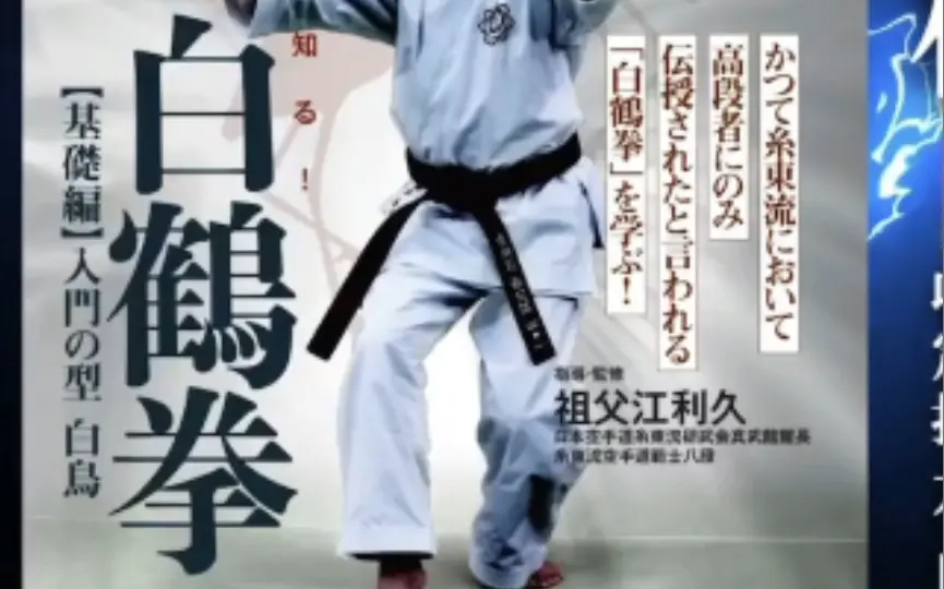 井上师范所传林派糸东流空手道高段者的秘传竟然是白鹤拳？！_哔哩哔哩_ 